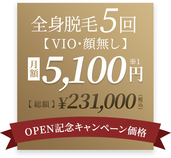オープン記念キャンペーン価格！全身医療脱毛5回。VIO・顔なしコース￥165,000円