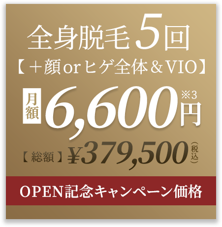 オープン記念キャンペーン価格！全身医療脱毛5回+顔＋VIOコース￥302,500円