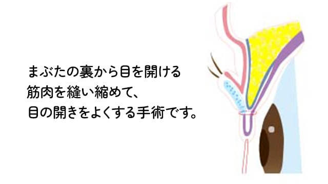 安心の保証制度