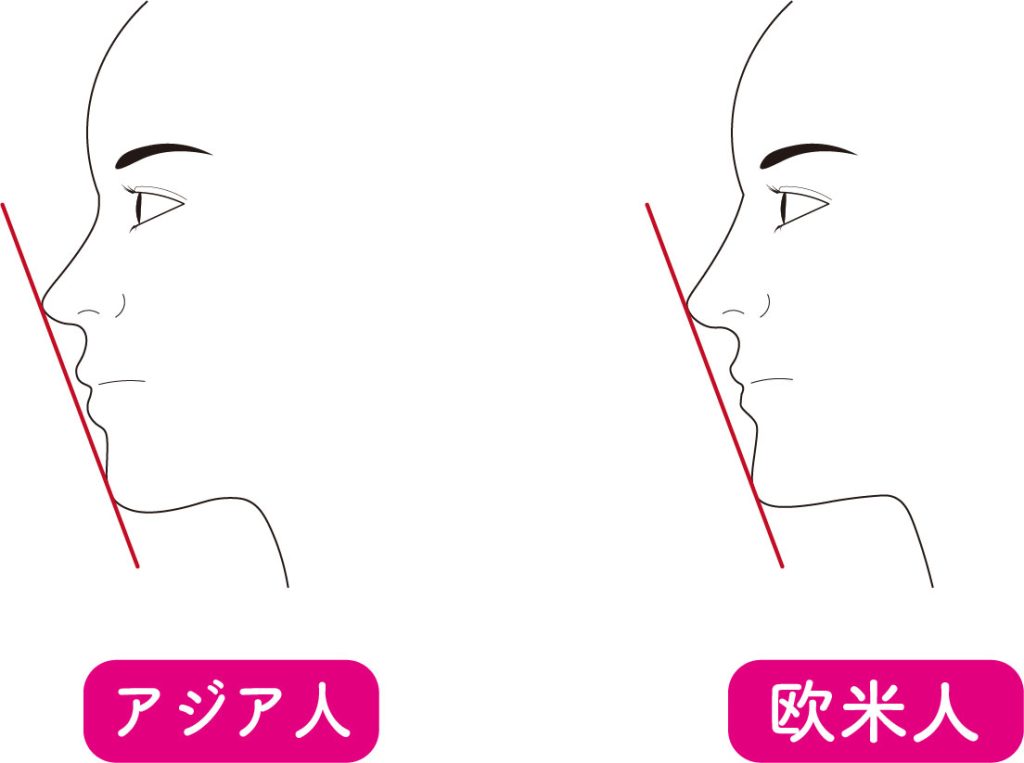 日本人のeラインはコレ 横顔美人になる方法 名古屋の美容外科 Cinderella Da Vinci Clinic 公式