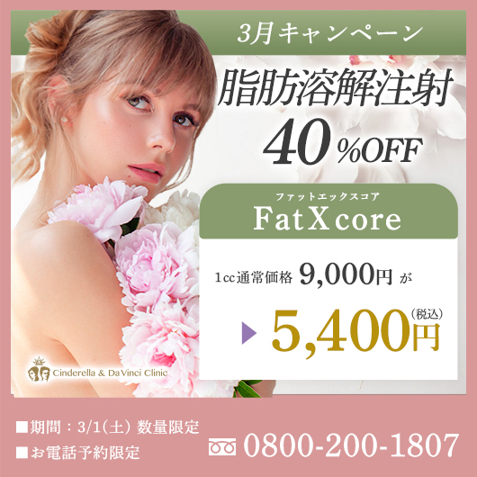 脂肪溶解注射40％OFFの画像